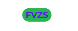 fvzs free games